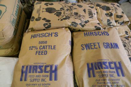 Hirsch  